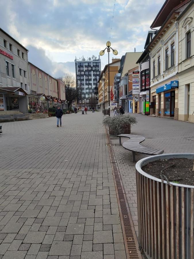 Renmir Apartman Poprád Kültér fotó