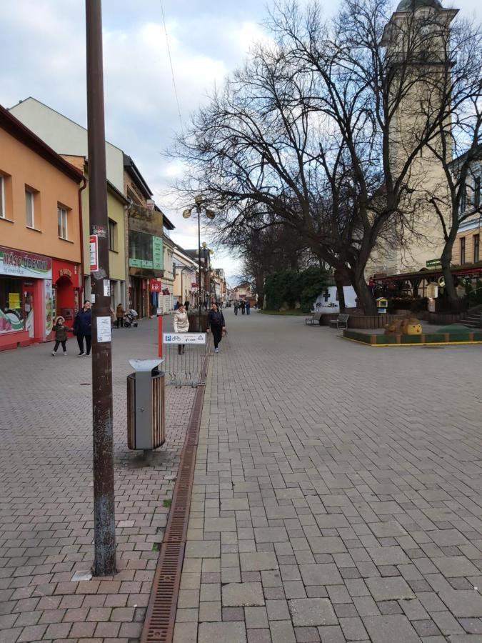 Renmir Apartman Poprád Kültér fotó
